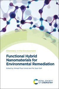 Functional Hybrid Nanomaterials for Environmental Remediation_cover