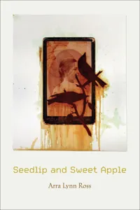 Seedlip and Sweet Apple_cover