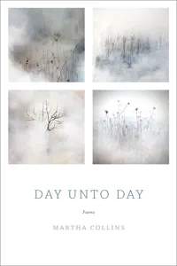 Day Unto Day_cover