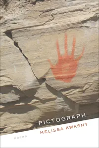 Pictograph_cover