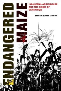 Endangered Maize_cover