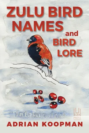 Zulu Bird Names and Bird Lore