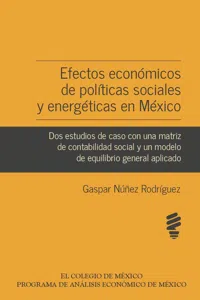 Efectos económicos de políticas sociales y energéticas en México_cover