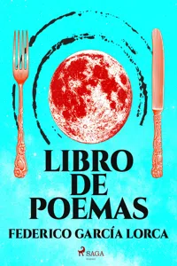 Libro de poemas_cover