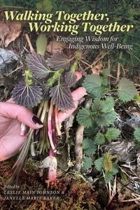 Walking Together, Working Together_cover