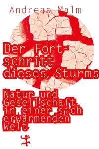 Der Fortschritt dieses Sturms_cover