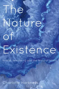 The Nature of Existence_cover