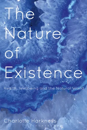 The Nature of Existence