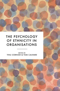 The Psychology of Ethnicity in Organisations_cover