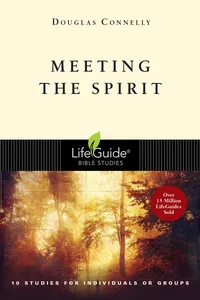 Meeting the Spirit_cover