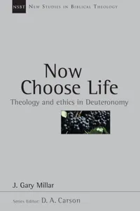 New Studies in Biblical Theology_cover