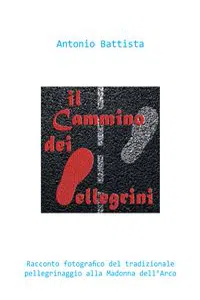 Il cammino dei pellegrini_cover