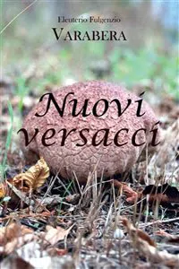 Nuovi versacci_cover