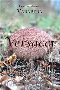 Versacci_cover