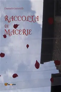 Raccolta di macerie_cover