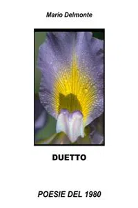 Duetto_cover