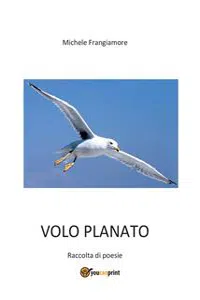 Volo planato. Raccolta di poesie_cover