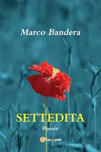 Settedita_cover