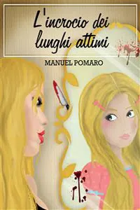 L'incrocio dei lunghi attimi_cover