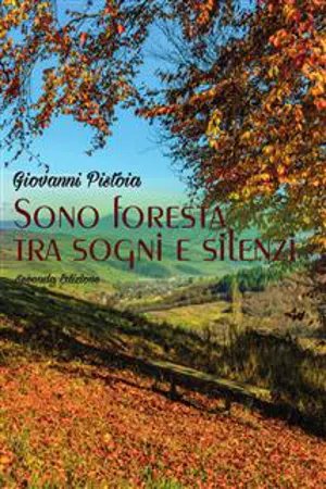 Sono foresta tra sogni e silenzi