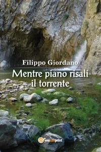 Mentre piano risali il torrente_cover