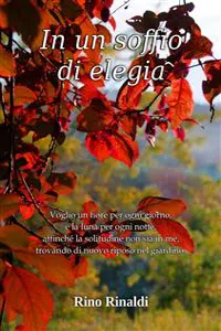 In un soffio di elegia_cover