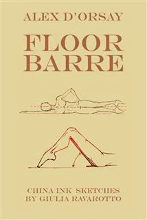 Floor Barre