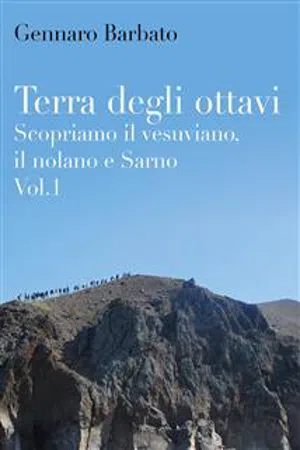 Terra degli ottavi. Scopriamo il vesuviano, il nolano e Sarno. Vol. 1