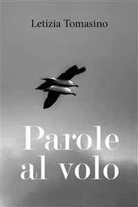 Parole al volo_cover