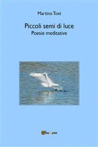 Piccoli semi di luce - Poesie meditative_cover