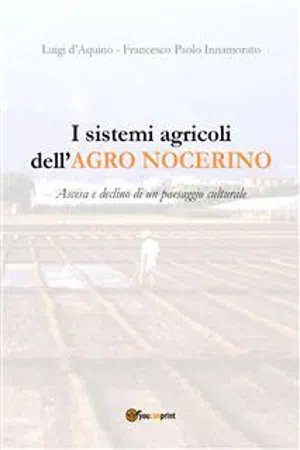 I sistemi agricoli dell'Agro Nocerino. Ascesa e declino di un paesaggio culturale