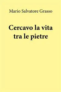 Cercavo la vita tra le pietre_cover