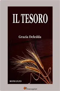 Il tesoro. Romanzo_cover