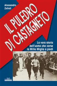 Il Puledro di Castagneto_cover