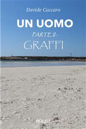 Un Uomo - parte II: Graffi