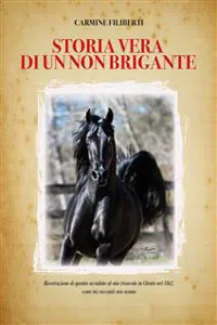 Storia vera di un non brigante_cover