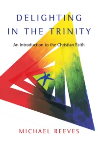 Delighting in the Trinity_cover