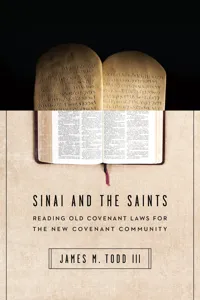 Sinai and the Saints_cover