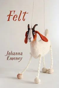 Felt_cover