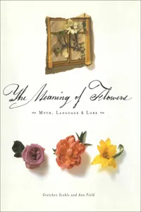 The Meaning of Flowers_cover