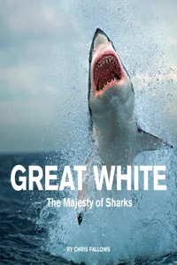 Great White_cover