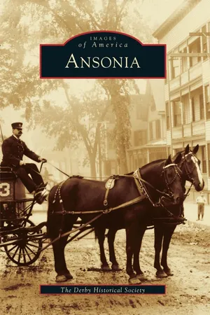 Ansonia