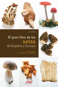 El gran libro de las setas de España y Europa_cover