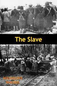 The Slave_cover