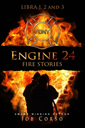 Engine 24: Fire Stories libri 1, 2 e 3