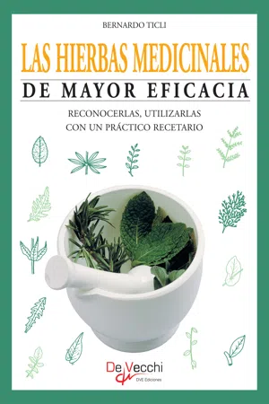 Las hierbas medicinales de mayor eficacia