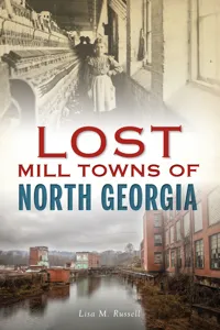 Lost Mill Towns of North Georgia_cover