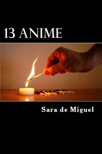 13 Anime_cover