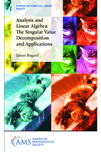 Analysis and Linear Algebra: The Singular Value Decomposition and Applications_cover