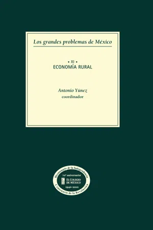 Los grandes problemas de México.